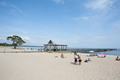 First Camp Åhus - Blick auf den Badestrand in der Umgebung vom Campingplatz