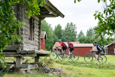 First Camp Moraparken - Dalarna