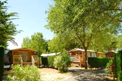 Flower Camping Le Bois D'amour - Bild 2