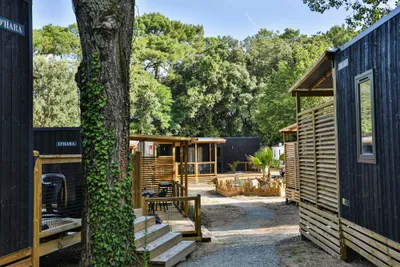 Holz- und Metallunterkünfte auf einem Campingplatz, mit Veranda, Stufen und Sitzbank zwischen Bäumen und Wegen.