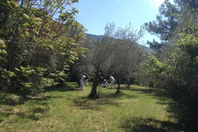 Camping Fontemaggio  - Camper auf einer Wiese