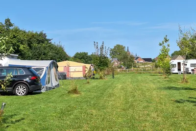 Forest Camp - Standplätze auf dem Campinglatz