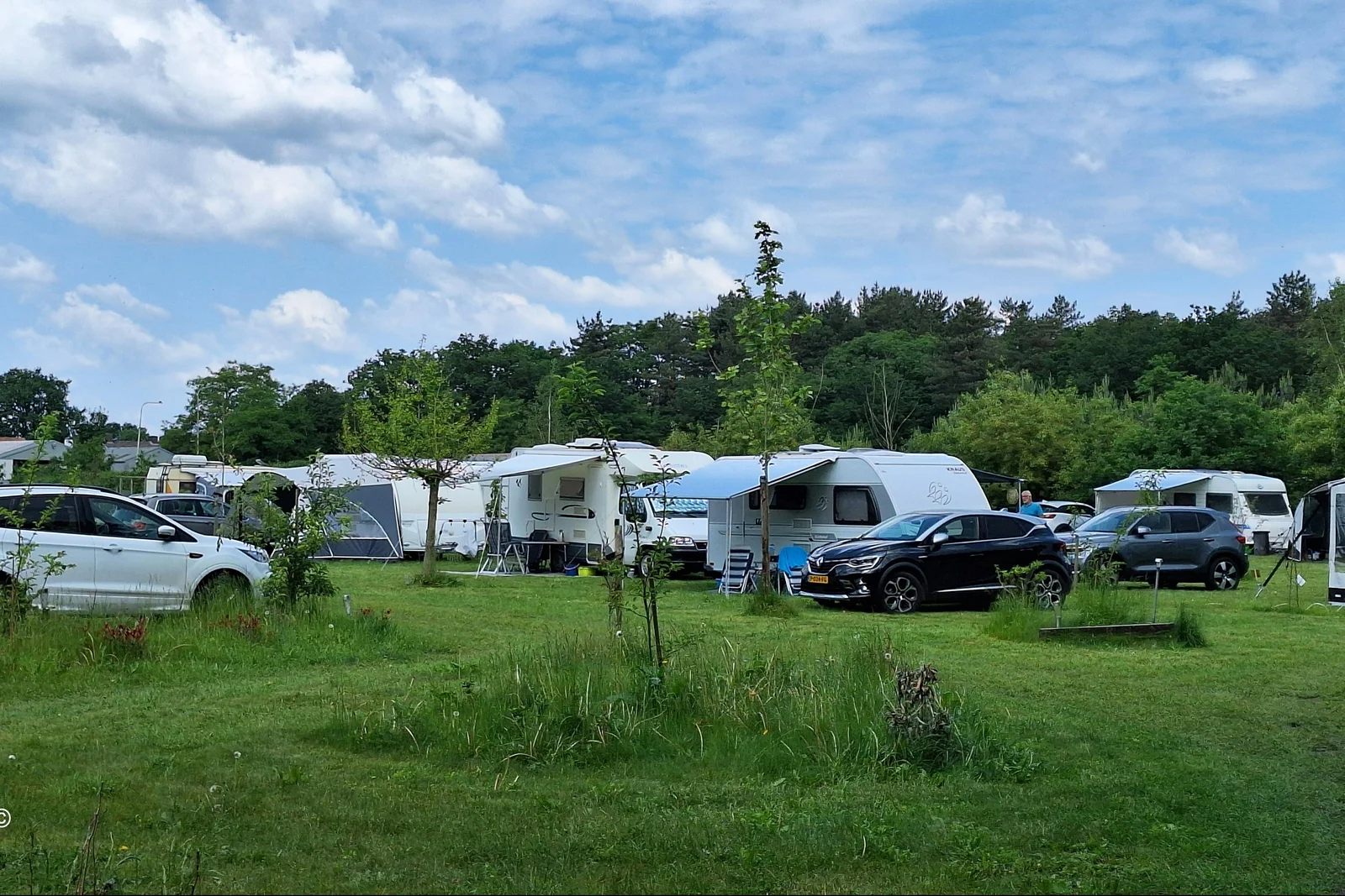 Forest Camp Dalarna