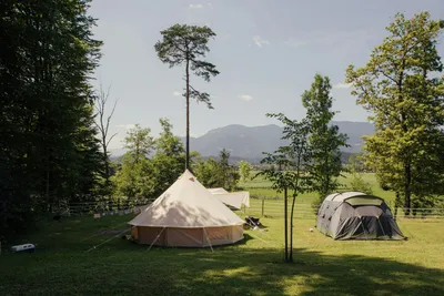 Forest Camping Mozirje - Bild 3