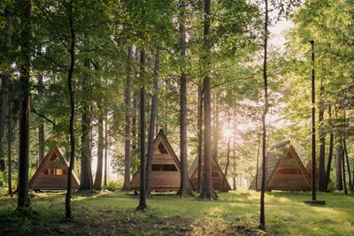 Forest Camping Mozirje - Bild 4