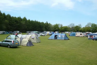 Forest Glade Holiday Park - Bild 3