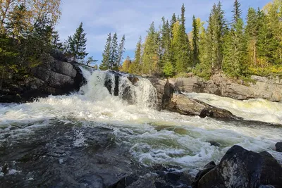 Wasserfall über Felsen im Wald, umgeben von Nadelbäumen und grünem Ufer, mit schäumendem Fluss im Vordergrund.