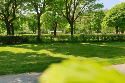 Franz Josef´s Landresort - Standplätze im Grünen auf dem Campingplatz