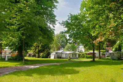 Freizeit- und Campingpark Geesthof - Blick auf die Stellplätze auf der Wiese zwischen den Bäumen