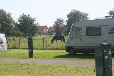 Friesland Camping - Wohnmobil auf einem Stellplatz mit grasendem Pferd im Hintergrund