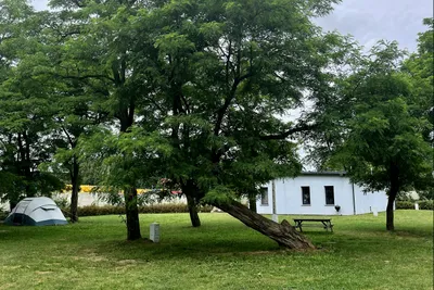 Gadabout Hostel & Camp - Blick auf die Standplätze auf der Wiese