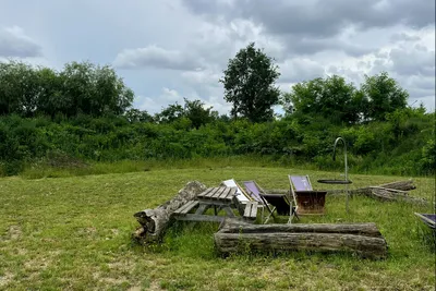 Gadabout Hostel & Camp - Feuerstelle mit Sitzgelegenheiten auf der Wiese