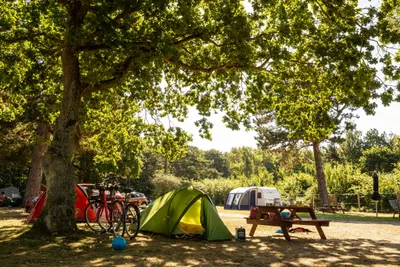 Dcu-camping Rønne Strand - Galløkken - Bild 3