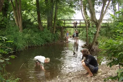 Gaytal Camping Körperich - Bild 4