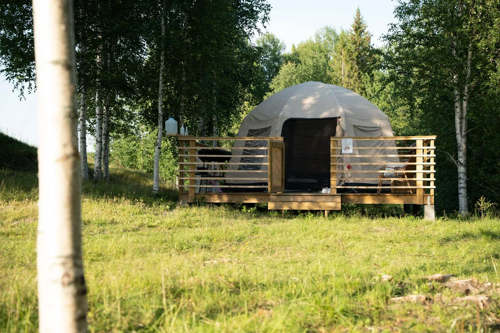 Glamping with goats
