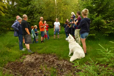 Camping Gyvelborg - Ausflüge zum Bauernhof mit Wandern in der Nähe vom Campingplatz