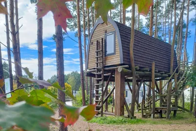 Hafencamp Senftenberger See - Bild 2