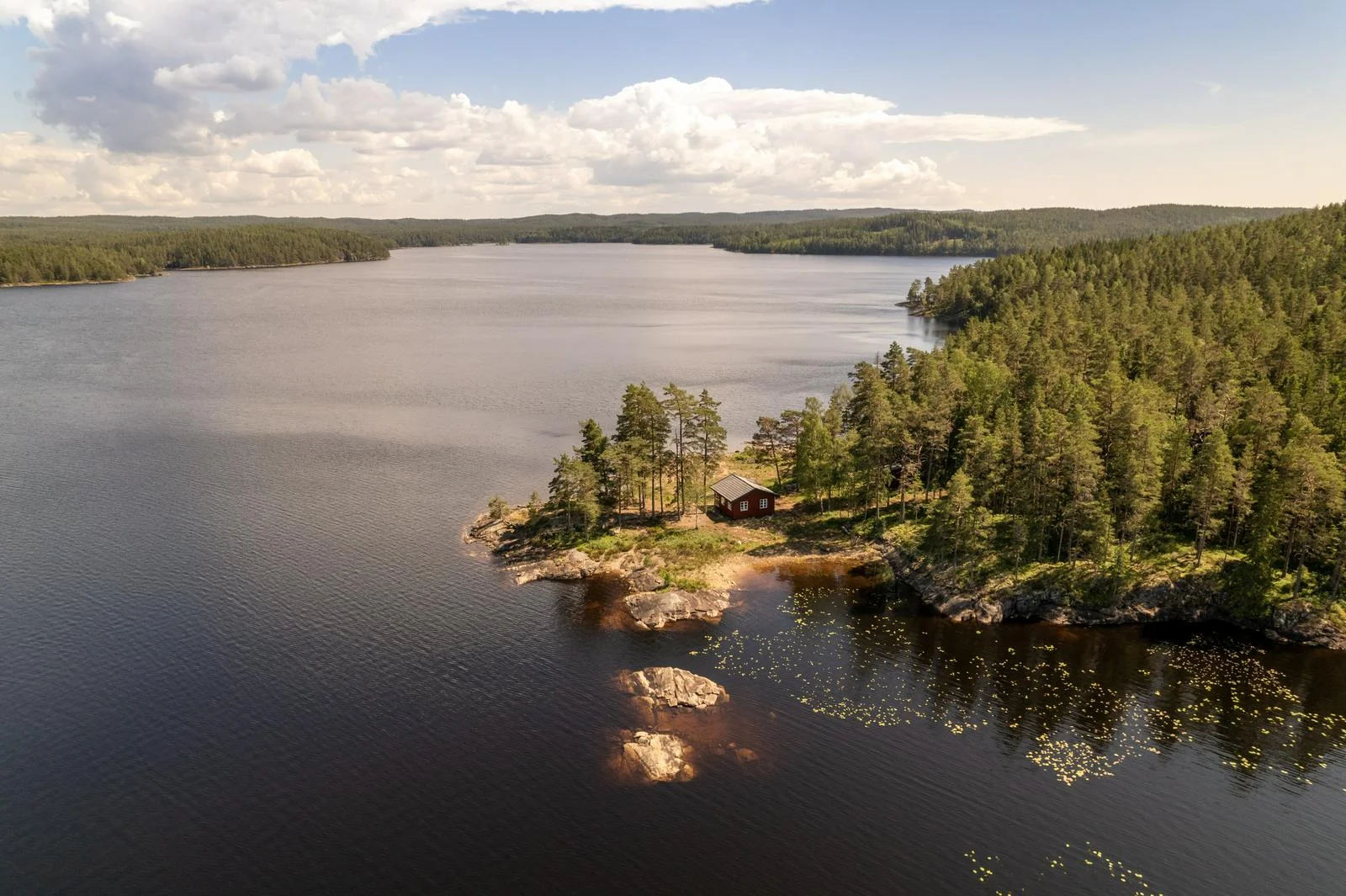 Hafsrød