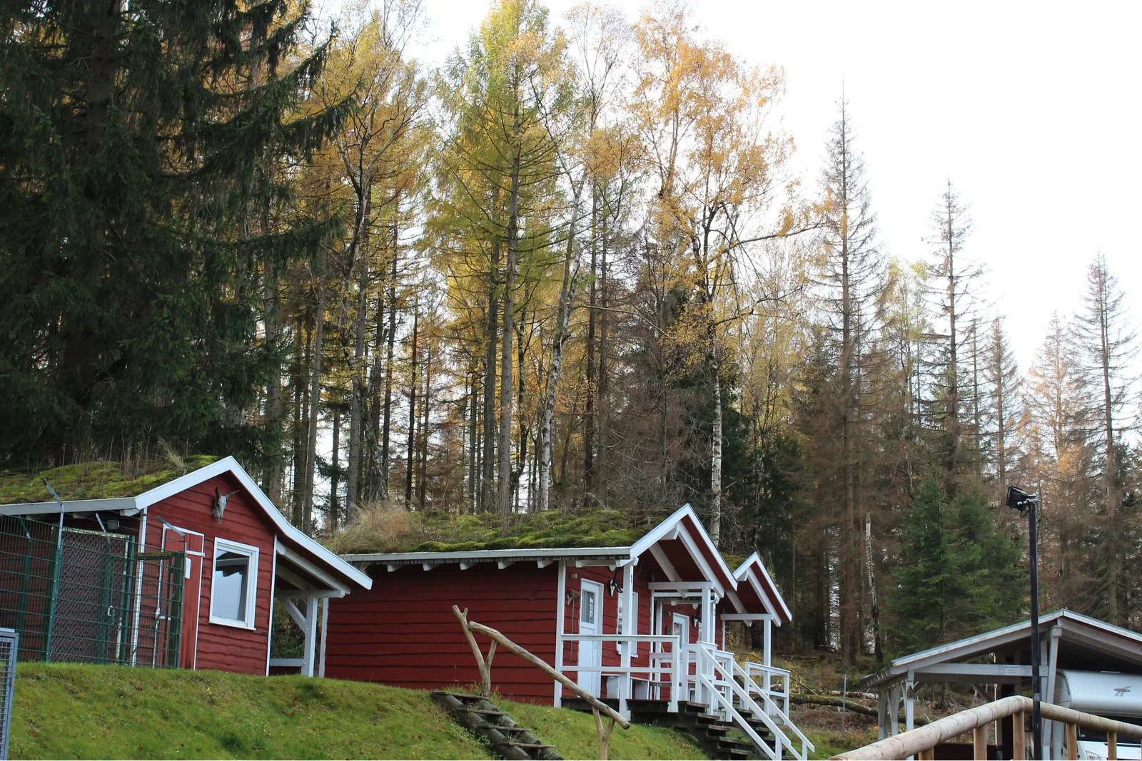 Harz Mountain Camp am Schierker Stern