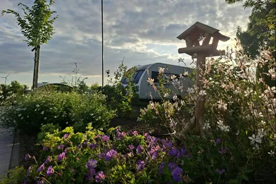 Camping Heerlijk Plekkie - Blumengarten neben den Standplätzen