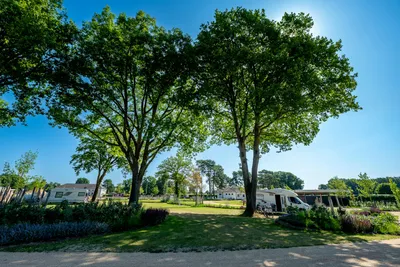 Heidecamp Brüggen - Standplätze zwischen den Bäumen auf dem Campingplatz