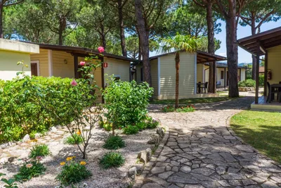 Holiday Village -  Mobilheime unter Bäumen auf dem Campingplatz