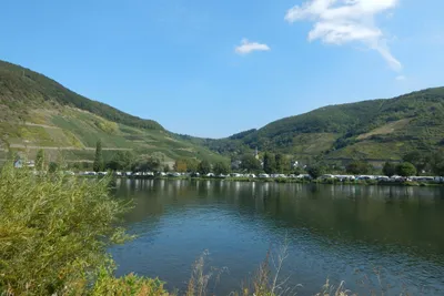 Camping Holländischer Hof - Direkter Seezugang zum See