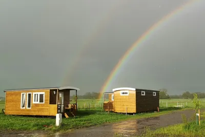 Höpkens Campingplatz & Ferienwohnungen - Bild 3