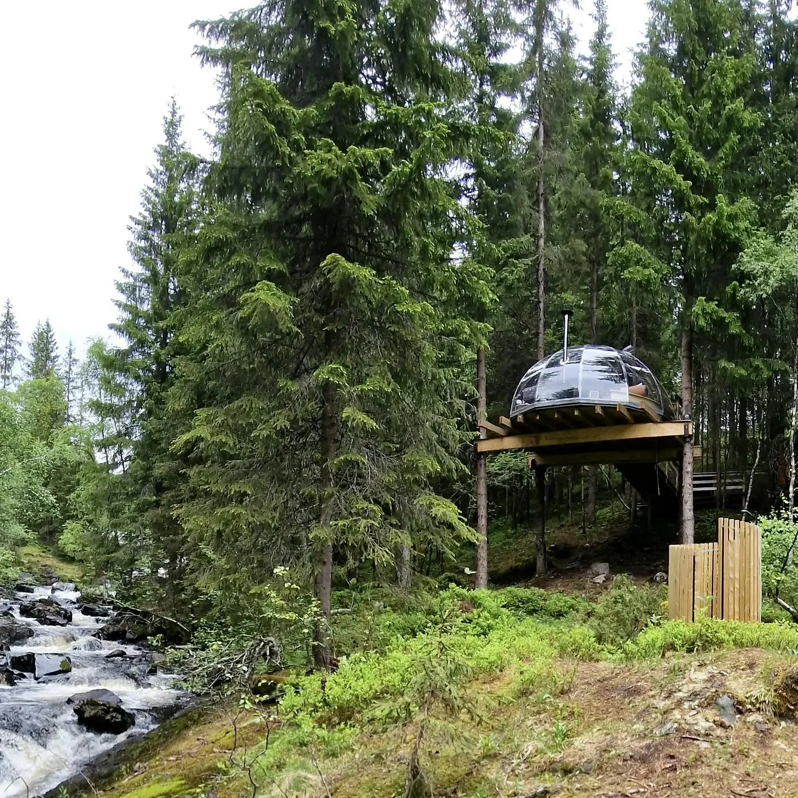 Hvilepust