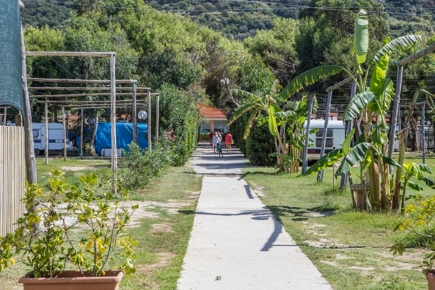 Il Calabriano