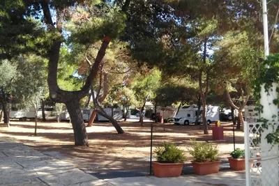 Camping Il Forte - Wohnwagen- und Zeltstellplatz vom Campingplatz im Schatten von Bäumen