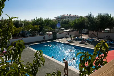 Camping Joncar Mar - Gäste liegen am Pool in der Sonne