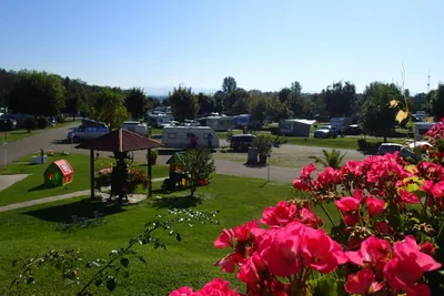 Kaiserstuhl-Camping  -  Wohnwagen und Wohnmobile auf dem Stellplatz vom Campingplatz im Grünen