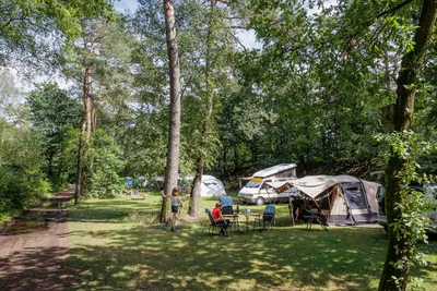 Huttopia De Veluwe - Bild 2