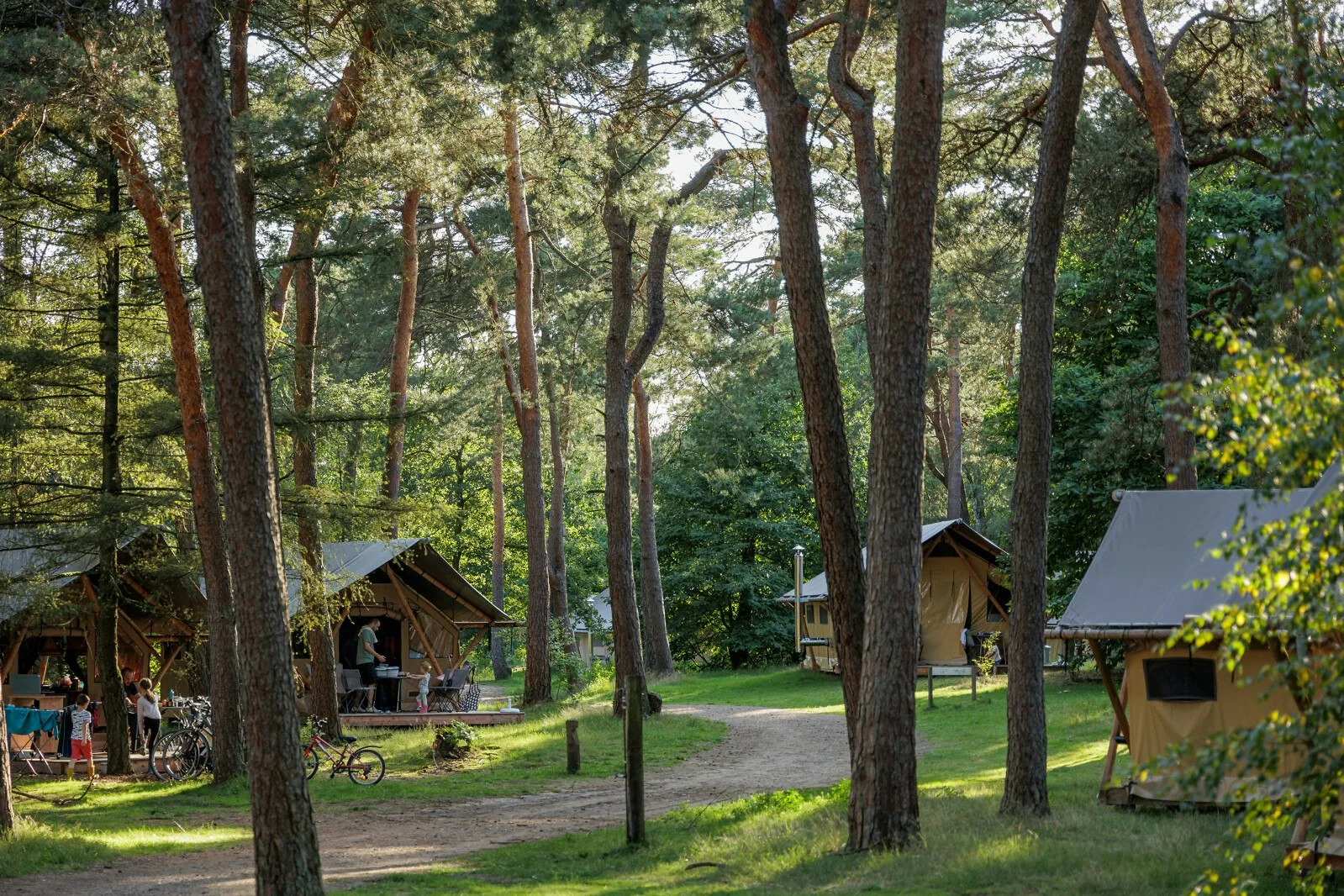 Huttopia De Veluwe