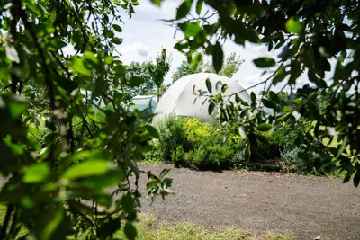 Camp Děčín  Kemp Děčín - Glamping-Zelt umgeben von Bäumen