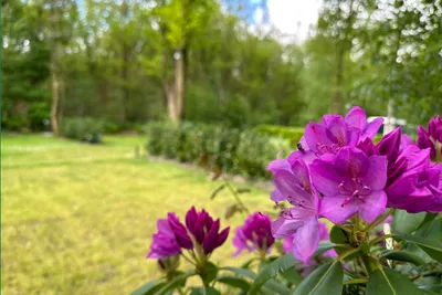 Camping Klein Zwitserland