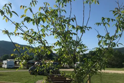 Kohlhofmühl Camping - Stellplätze im Grünen