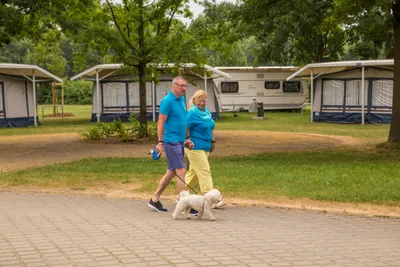 Komfortcamping Senftenberger See - Bild 3
