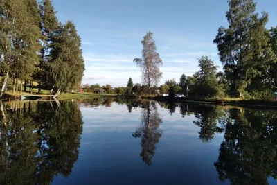 Kornberg-Borderland-Camping - Naturbadesee (Waldschwimmbad) mit Liegewiese und Vintage-Spielplatz