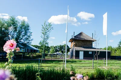 Camping Kweetal - Standplätze auf dem Campingplatz