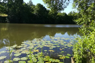 Camping L' Hippodrome - Blick auf das Wasser