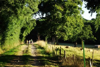 Camping La Bergerie
