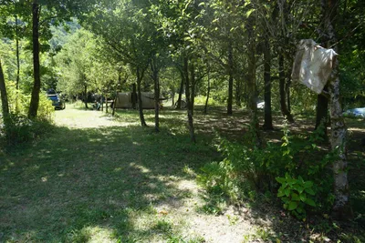 Camping La Champagne - Stellplätze im Schatten der Bäume