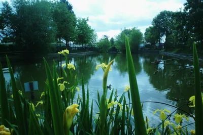 Camping La Paille Haute