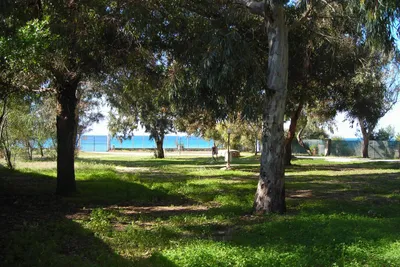 Camping La Palma -  Wohnwagen- und Zeltstellplatz zwischen Bäumen mit Blick auf das Mittelmeer im Hintergrund