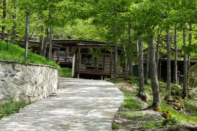Camping La Verna - Strasse auf dem Campingplatz zu den Mobilheimen