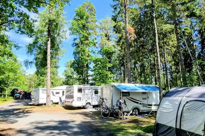 Läckö Strand - Standplätze zwischen den Bäumen auf dem Campingplatz