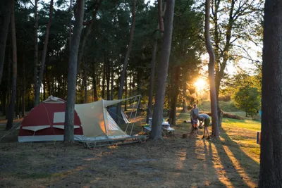Landgoed Börkerheide - Zelte und Camper unter Bäumen bei Sonnenuntergang auf dem Campingplatz