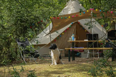 Landgoedcamping Het Meuleman - Bild 2